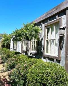 Carolina Home & Garden