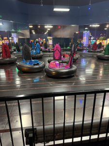 Photograph of Gattitown: Austin, TX (Southpark Meadows)